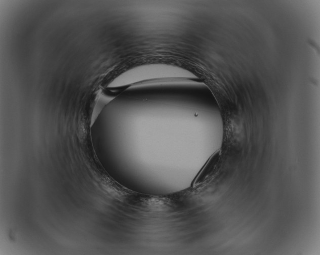 X0000091520566200709071019