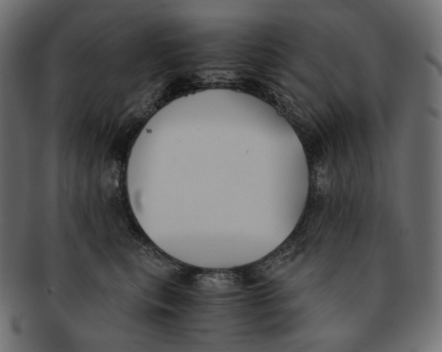 X0000091520567200709071019