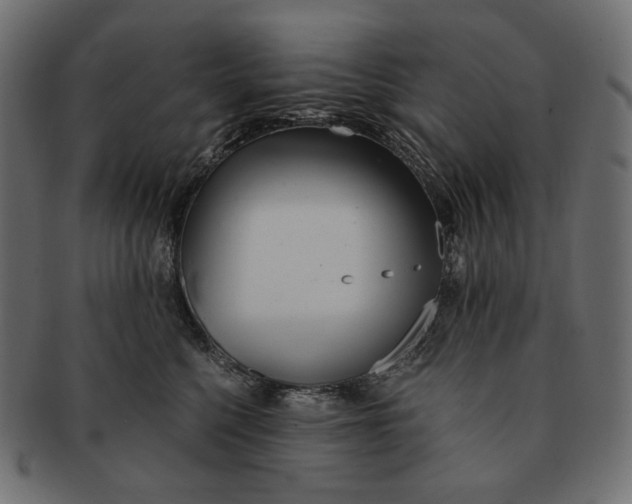 X0000091520568200709071019