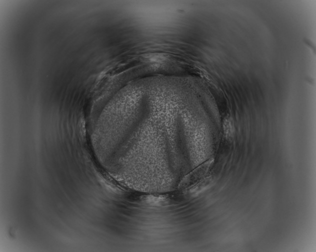 X0000091520570200709071019