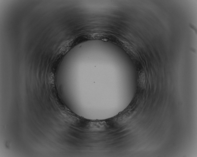 X0000091520571200709071019