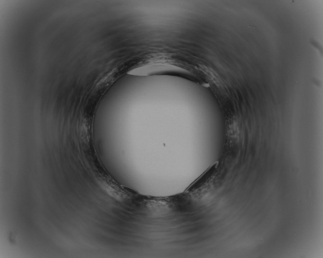 X0000091520572200709071019