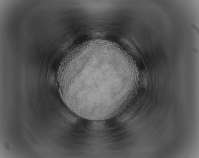 X0000091520573200709071019