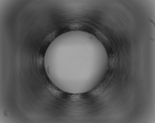 X0000091520574200709071019