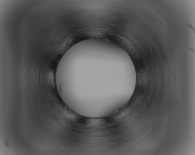 X0000091520575200709071019