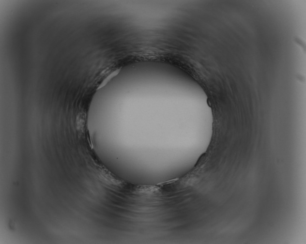 X0000091520576200709071019