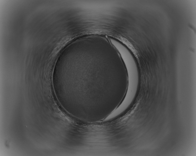 X0000091520577200709071019