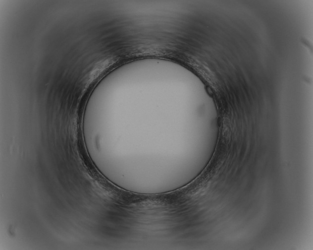 X0000091520578200709071019