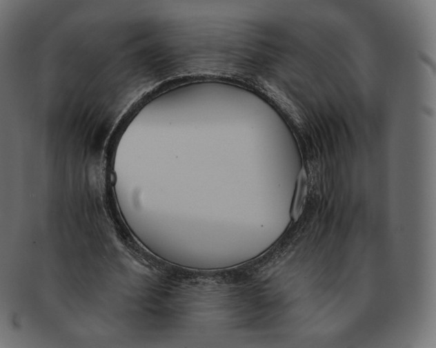 X0000091520580200709071019