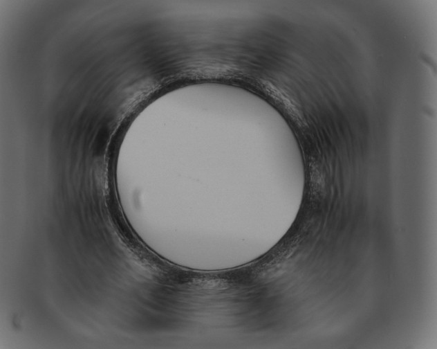 X0000091520582200709071019