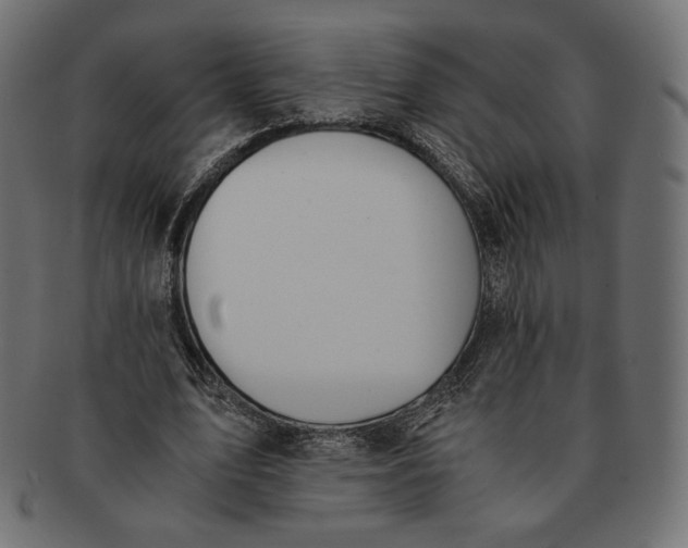 X0000091520583200709071019