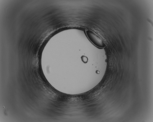 X0000091520584200709071019