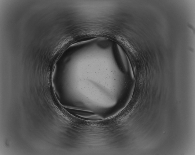 X0000091520585200709071019