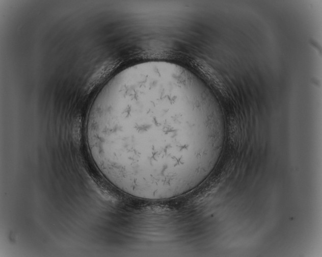 X0000091520586200709071019