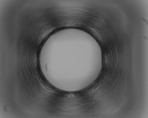 X0000091520588200709071019