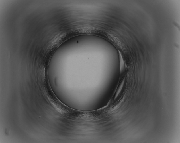 X0000091520589200709071019