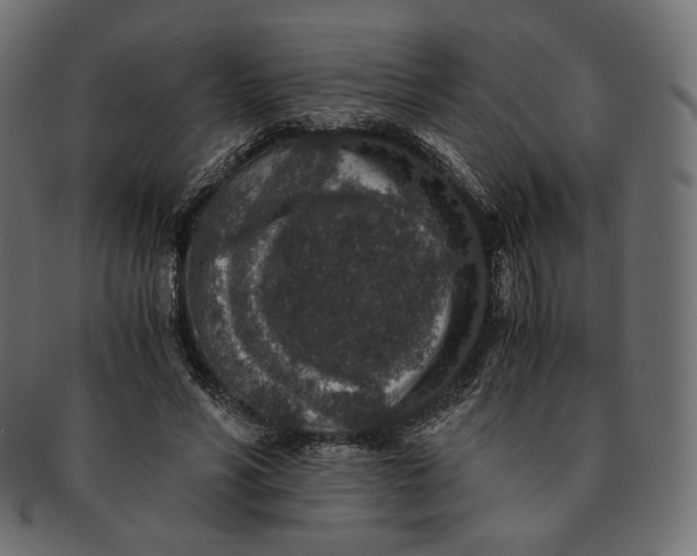 X0000091520590200709071019