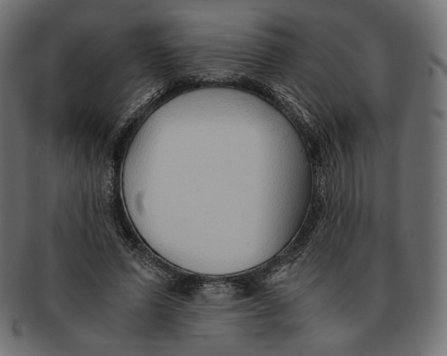 X0000091520591200709071019