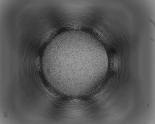 X0000091520594200709071019