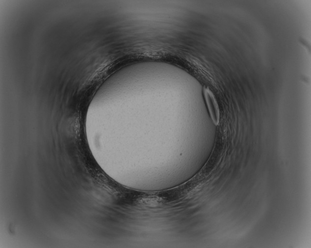 X0000091520595200709071019