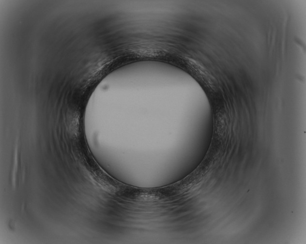 X0000091520596200709071019