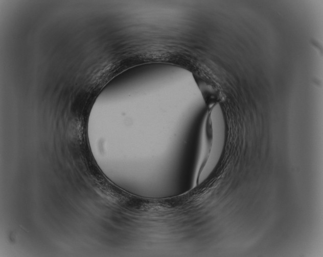 X0000091520597200709071018