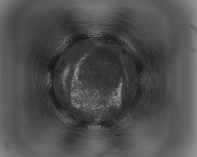 X0000091520598200709071018