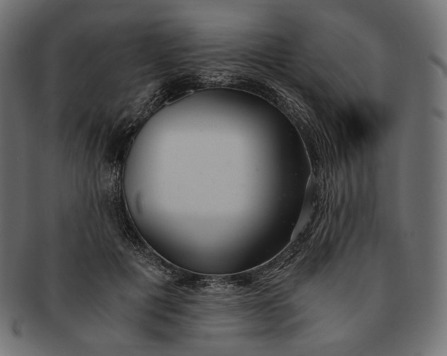 X0000091520601200709071018