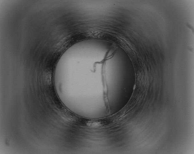 X0000091520602200709071018