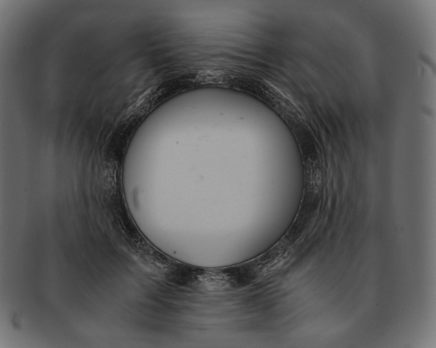 X0000091520603200709071018