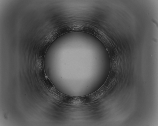 X0000091520604200709071018