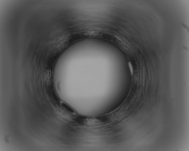 X0000091520605200709071018