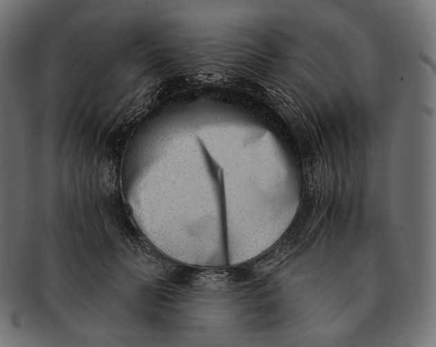 X0000091520606200709071018