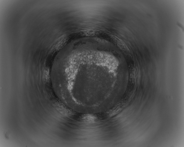 X0000091520610200709071018