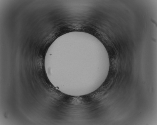 X0000091520612200709071018