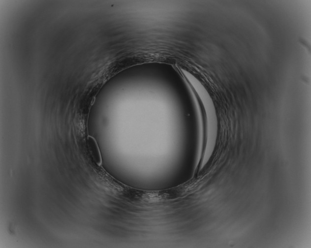 X0000091520613200709071018