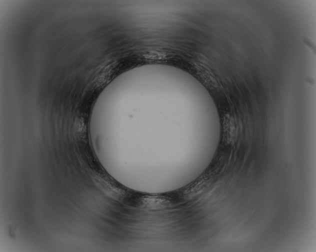 X0000091520614200709071018