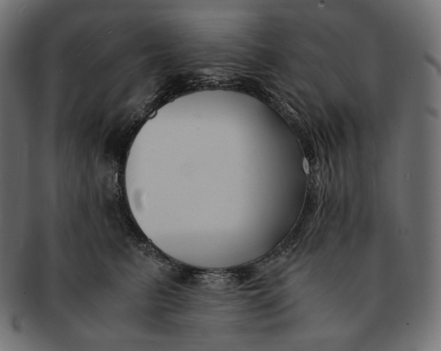 X0000091520615200709071018