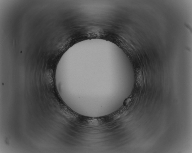 X0000091520616200709071018