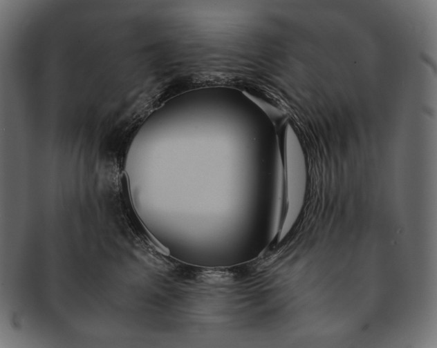 X0000091520617200709071018