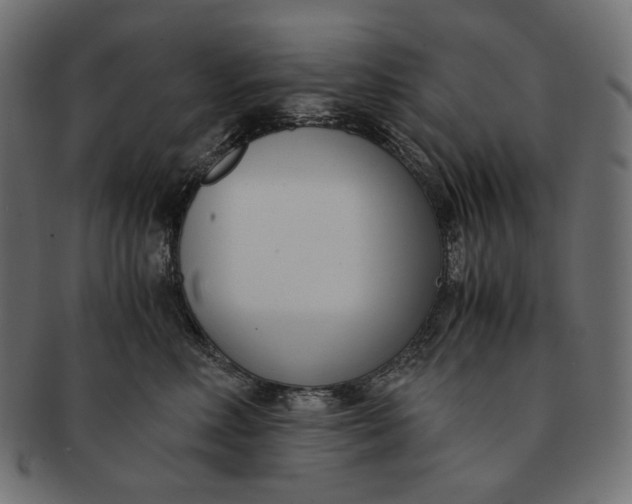 X0000091520618200709071018