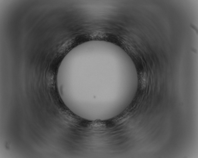 X0000091520619200709071018