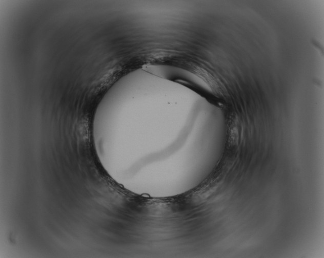 X0000091520620200709071018