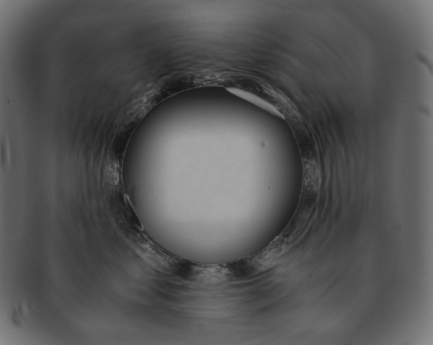 X0000091520621200709071018