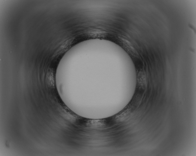 X0000091520622200709071018