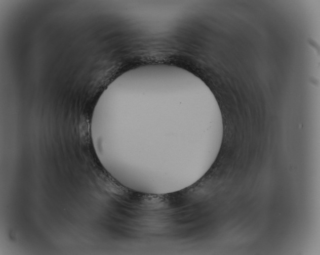 X0000091520624200709071018