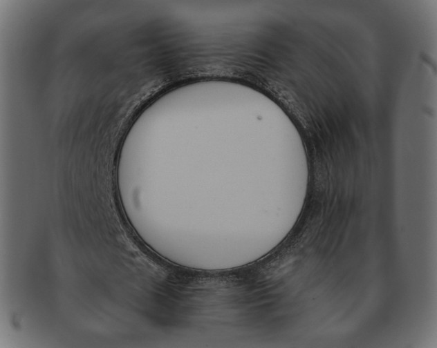 X0000091520625200709071017