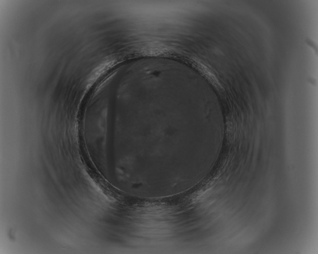 X0000091520626200709071017