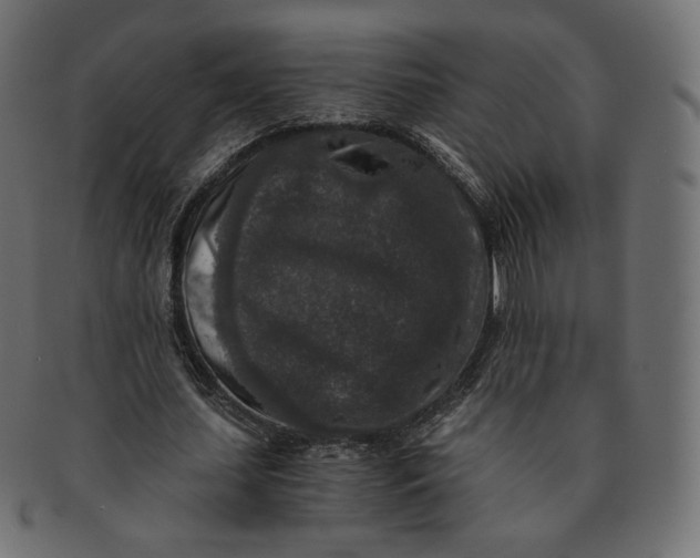 X0000091520627200709071017