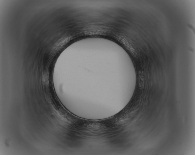 X0000091520631200709071017